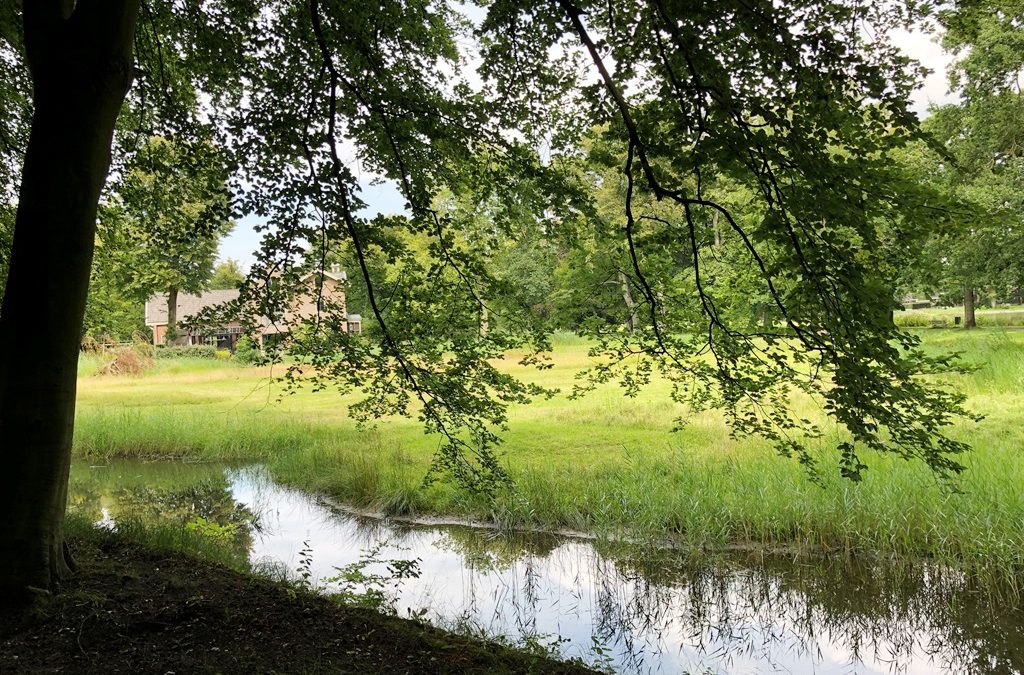 Bescherming bleekvelden Park Brederode